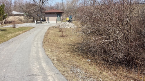 Winton Rain Garden 2014 (7)